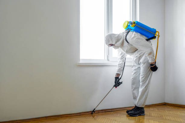 Best Mosquito Control Services  in Montecito, CA